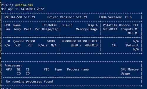 Use Cuda in Docker for Data Science