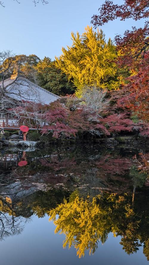 A random pre-wedding photoshoot (I assume) at Daigo-ji temple. Credit Srijon: https://srijon.me