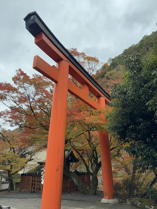Torii.
